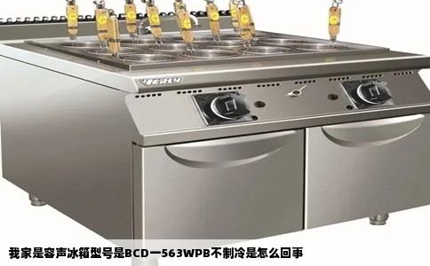 我家是容声冰箱型号是BCD一563WPB不制冷是怎么回事