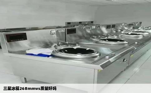 三星冰箱268mmvs质量好吗