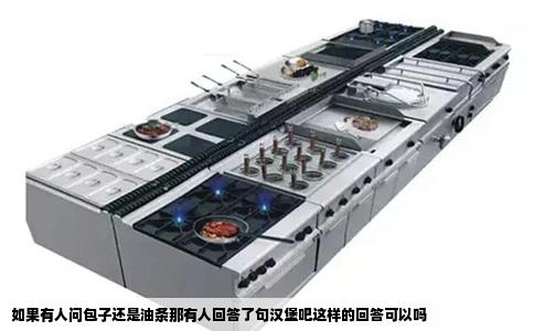 如果有人问包子还是油条那有人回答了句汉堡吧这样的回答可以吗