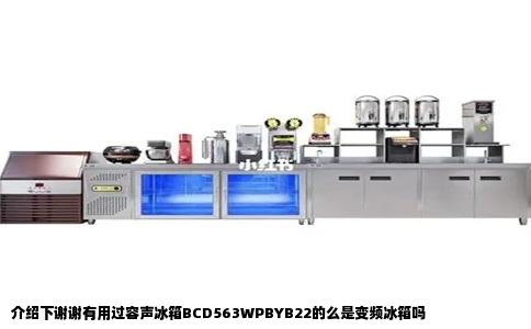 介绍下谢谢有用过容声冰箱BCD563WPBYB22的么是变频冰箱吗