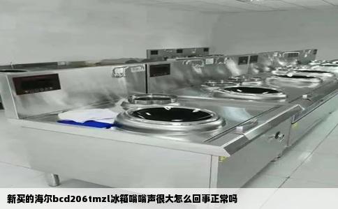 新买的海尔bcd206tmzl冰箱嗡嗡声很大怎么回事正常吗