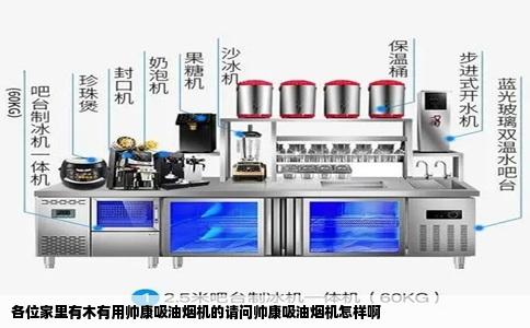 各位家里有木有用帅康吸油烟机的请问帅康吸油烟机怎样啊