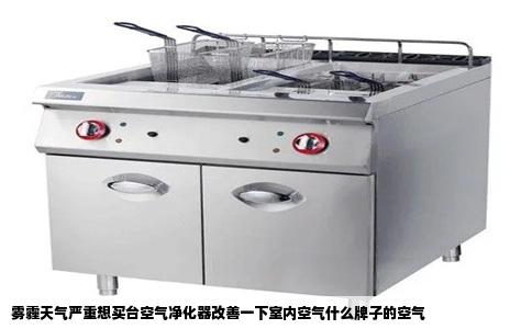 雾霾天气严重想买台空气净化器改善一下室内空气什么牌子的空气