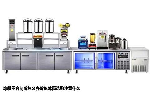 冰箱不会制冷怎么办冷冻冰箱选购注意什么