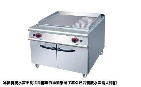 冰箱有流水声不制冷是那里的事如果漏了怎么还会有流水声请大师们