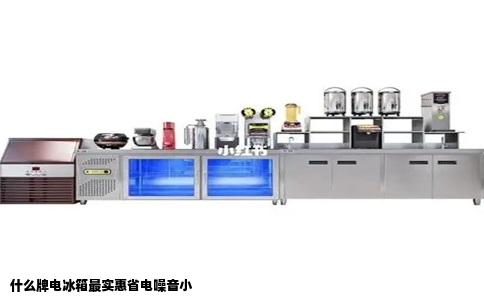 什么牌电冰箱最实惠省电噪音小