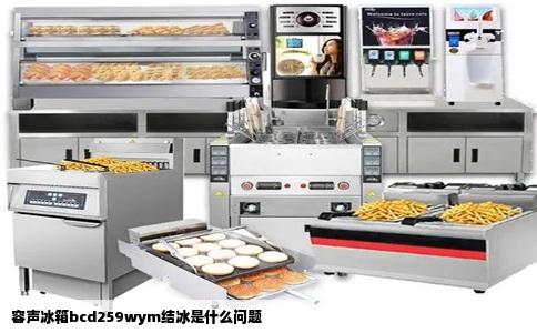 容声冰箱bcd259wym结冰是什么问题