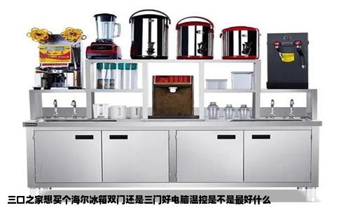 三口之家想买个海尔冰箱双门还是三门好电脑温控是不是最好什么