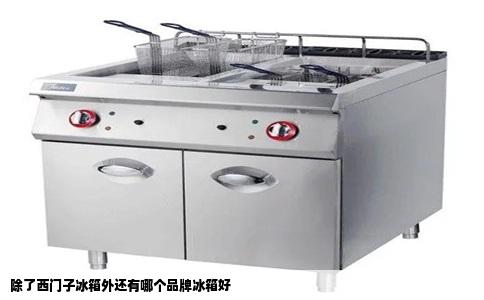 除了西门子冰箱外还有哪个品牌冰箱好
