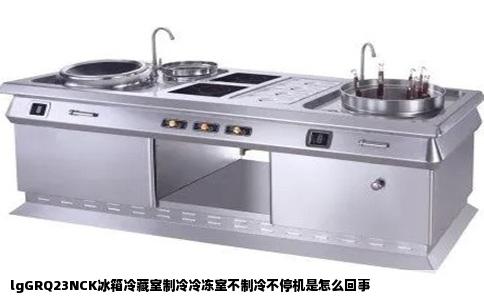 lgGRQ23NCK冰箱冷藏室制冷冷冻室不制冷不停机是怎么回事