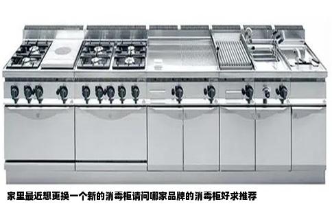 家里最近想更换一个新的消毒柜请问哪家品牌的消毒柜好求推荐