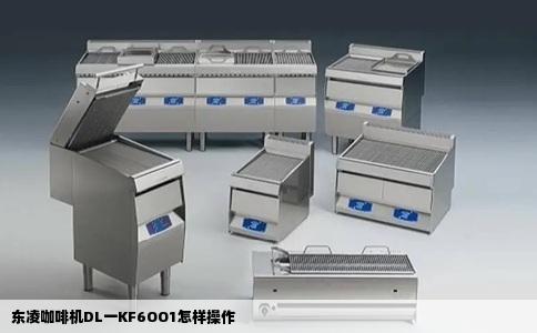 东凌咖啡机DL一KF6OO1怎样操作