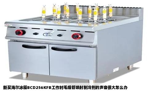 新买海尔冰箱BCD256KFB工作时毛细管喷射制冷剂的声音很大怎么办