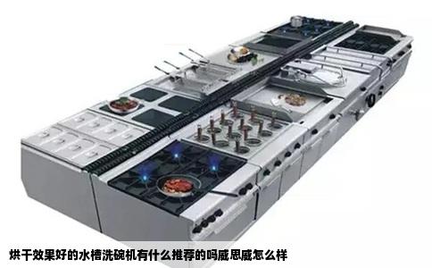 烘干效果好的水槽洗碗机有什么推荐的吗威思威怎么样