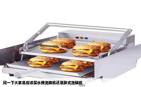 问一下大家是应该买水槽洗碗机还是欧式洗碗机