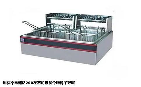 想买个电磁炉200左右的该买个啥牌子好呢