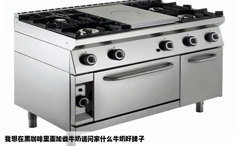 我想在黑咖啡里面加些牛奶请问家什么牛奶好牌子