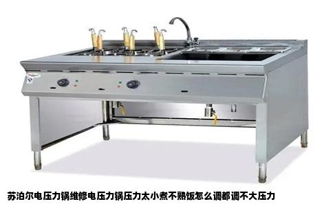 苏泊尔电压力锅维修电压力锅压力太小煮不熟饭怎么调都调不大压力