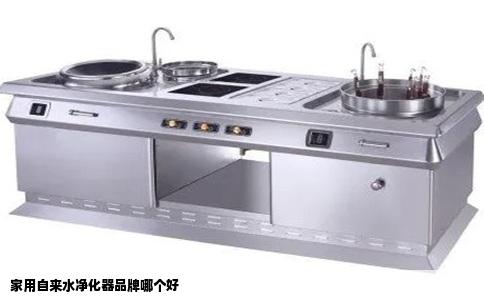 家用自来水净化器品牌哪个好