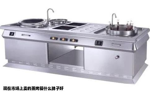 现在市场上卖的蒸烤箱什么牌子好