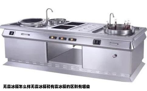 无霜冰箱怎么样无霜冰箱和有霜冰箱的区别有哪些