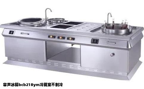 容声冰箱bcb218ym冷藏室不制冷