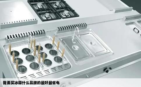 我要买冰箱什么品牌的最好最省电