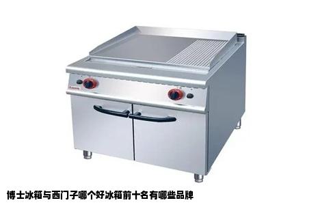 博士冰箱与西门子哪个好冰箱前十名有哪些品牌