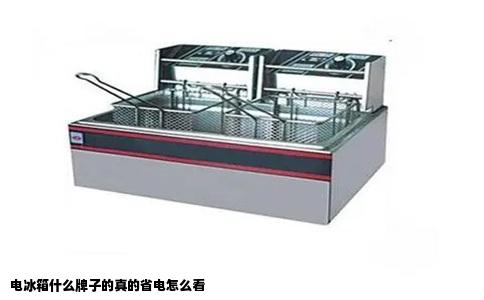 电冰箱什么牌子的真的省电怎么看