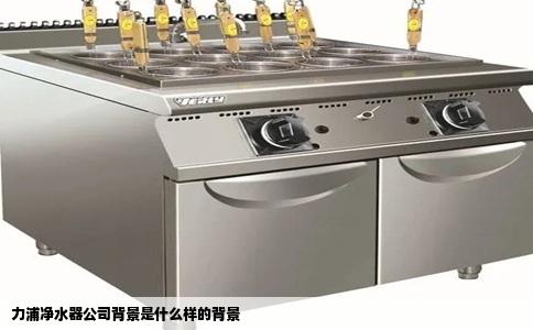 力浦净水器公司背景是什么样的背景