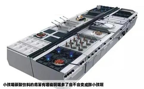 小孩喝碳酸饮料的危害有哪些啊喝多了会不会变成胖小孩啊
