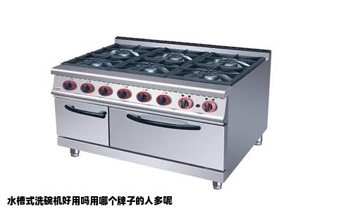 水槽式洗碗机好用吗用哪个牌子的人多呢