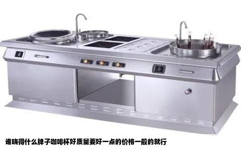 谁晓得什么牌子咖啡杯好质量要好一点的价格一般的就行
