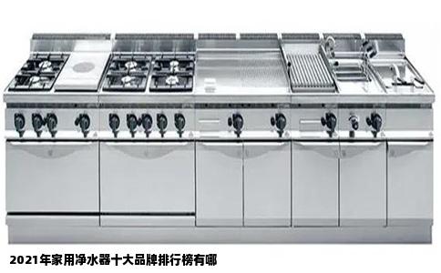 2021年家用净水器十大品牌排行榜有哪