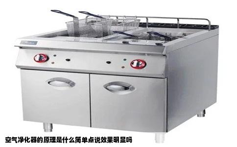 空气净化器的原理是什么简单点说效果明显吗