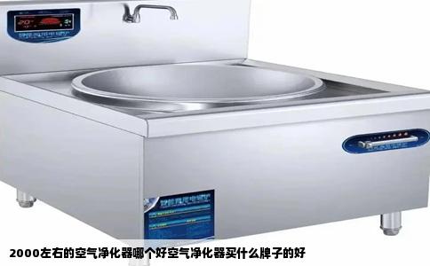 2000左右的空气净化器哪个好空气净化器买什么牌子的好