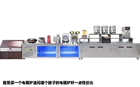 我想买一个电磁炉请问哪个牌子的电磁炉好一点性价比