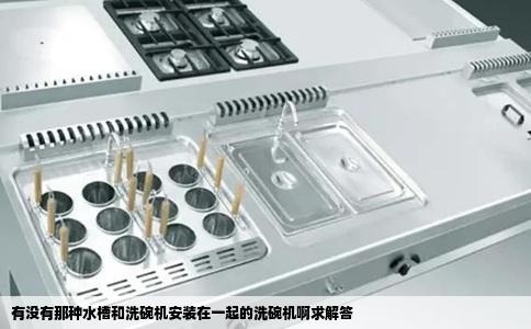 有没有那种水槽和洗碗机安装在一起的洗碗机啊求解答