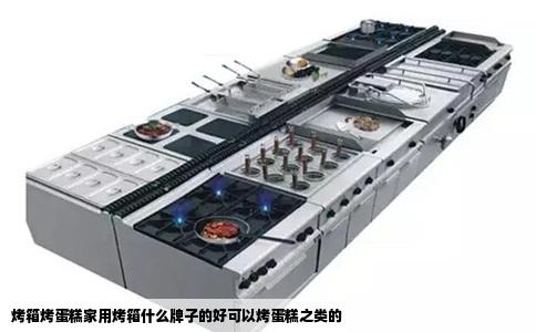 烤箱烤蛋糕家用烤箱什么牌子的好可以烤蛋糕之类的