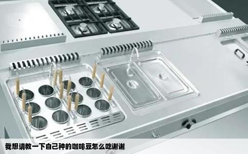 我想请教一下自己种的咖啡豆怎么吃谢谢