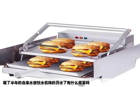 喝了半年的自来水放饮水机烧的开水了有什么危害吗