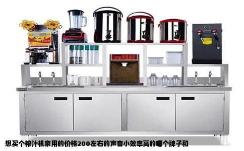 想买个榨汁机家用的价格200左右的声音小效率高的哪个牌子和