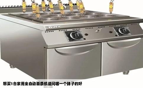 想买1台家用全自动面条机请问哪一个牌子的好