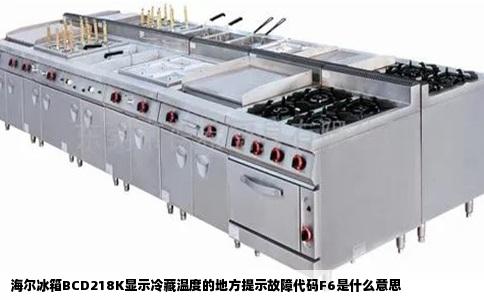 海尔冰箱BCD218K显示冷藏温度的地方提示故障代码F6是什么意思