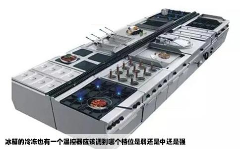 冰箱的冷冻也有一个温控器应该调到哪个档位是弱还是中还是强