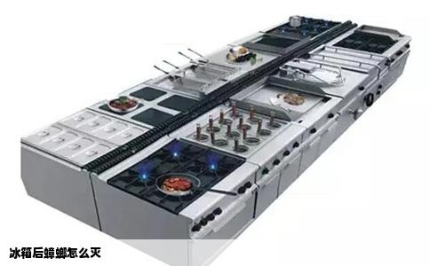 冰箱后蟑螂怎么灭