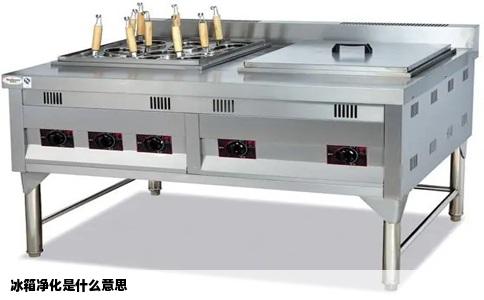 冰箱净化是什么意思