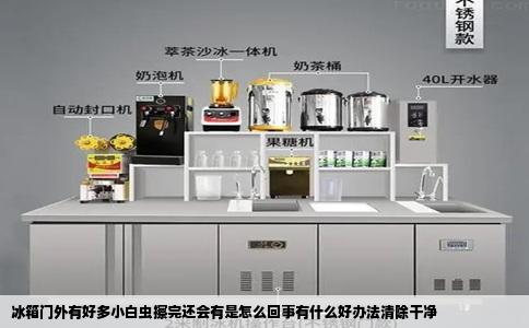 冰箱门外有好多小白虫擦完还会有是怎么回事有什么好办法清除干净