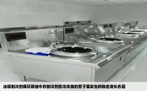 冰箱制冷剂循环路线中的制冷剂在冷冻室的管子里发生的物态变化名称