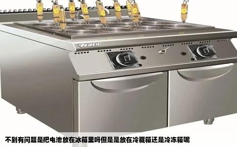 不到有问题是把电池放在冰箱里吗但是是放在冷藏箱还是冷冻箱呢